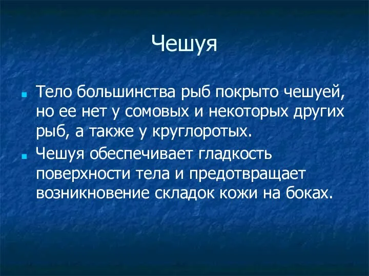 Чешуя Тело большинства рыб покрыто чешуей, но ее нет у