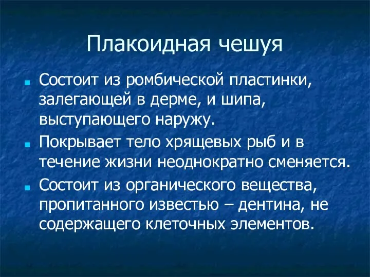 Плакоидная чешуя Состоит из ромбической пластинки, залегающей в дерме, и