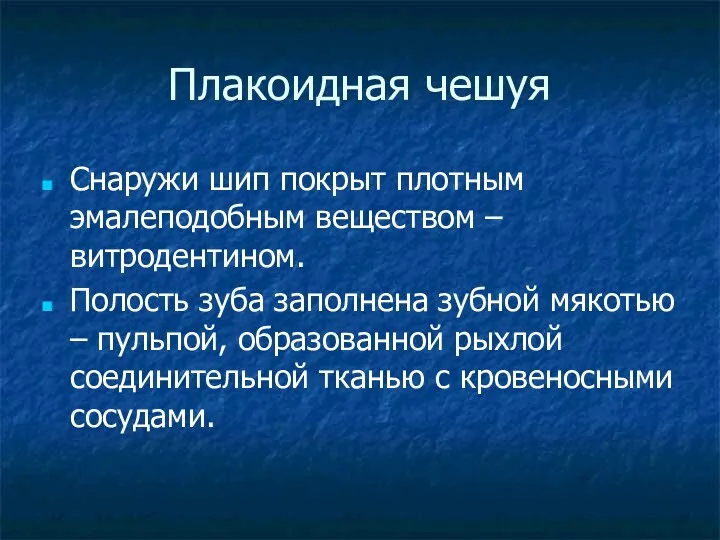 Плакоидная чешуя Снаружи шип покрыт плотным эмалеподобным веществом – витродентином.