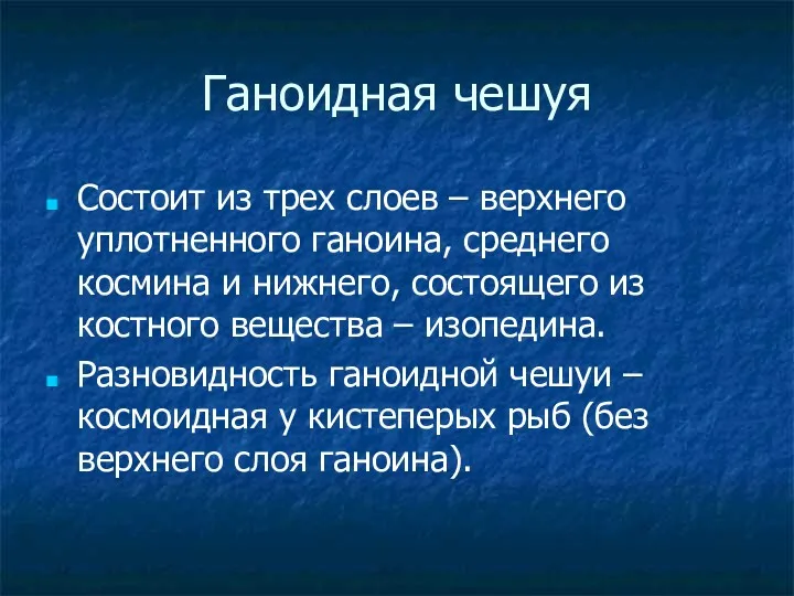 Ганоидная чешуя Состоит из трех слоев – верхнего уплотненного ганоина,