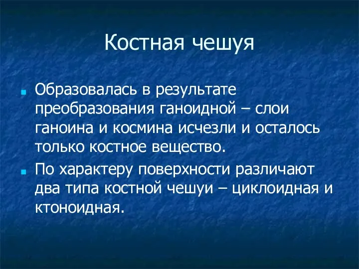 Костная чешуя Образовалась в результате преобразования ганоидной – слои ганоина