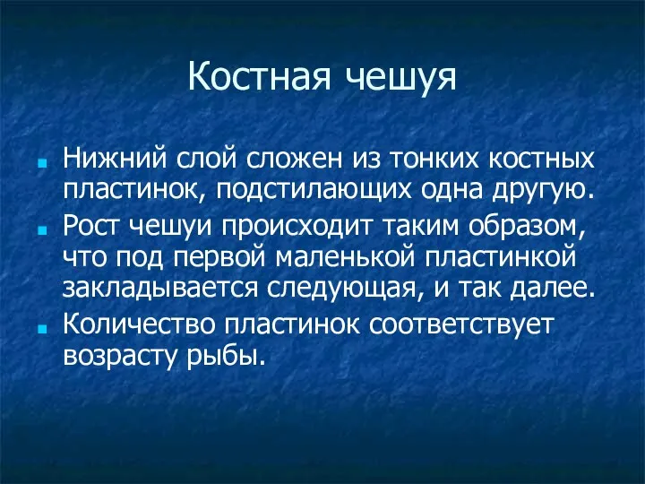 Костная чешуя Нижний слой сложен из тонких костных пластинок, подстилающих