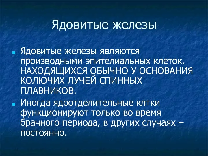 Ядовитые железы Ядовитые железы являются производными эпителиальных клеток. НАХОДЯЩИХСЯ ОБЫЧНО