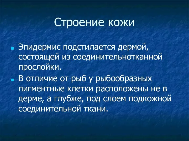 Строение кожи Эпидермис подстилается дермой, состоящей из соединительнотканной прослойки. В