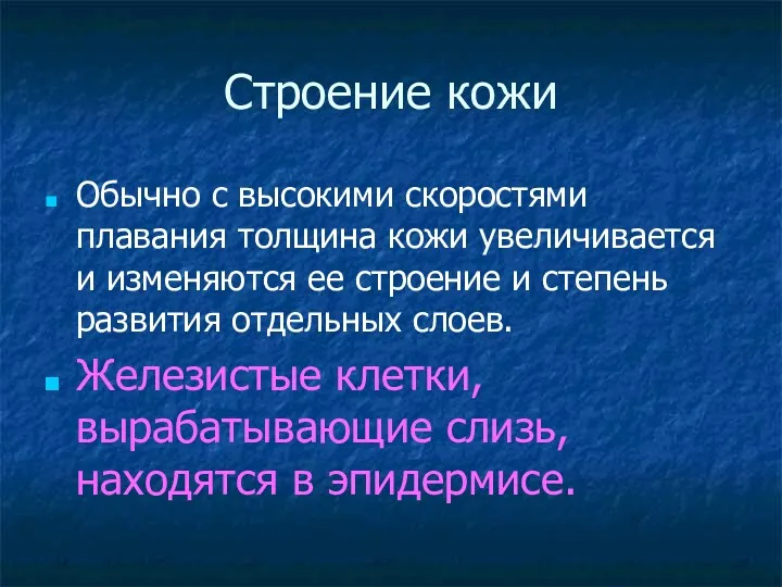 Строение кожи Обычно с высокими скоростями плавания толщина кожи увеличивается