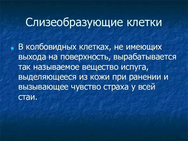 Слизеобразующие клетки В колбовидных клетках, не имеющих выхода на поверхность,