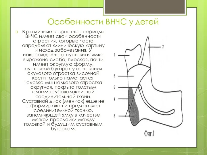 Особенности ВНЧС у детей В различные возрастные периоды ВНЧС имеет