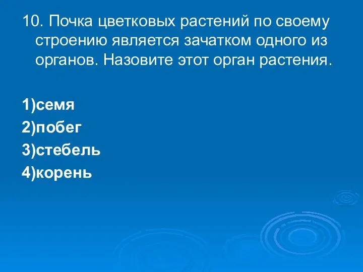 10. Почка цветковых растений по своему строению является зачатком одного из органов. Назовите