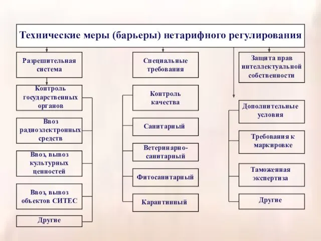 Технические меры (барьеры) нетарифного регулирования Разрешительная система Контроль государственных органов