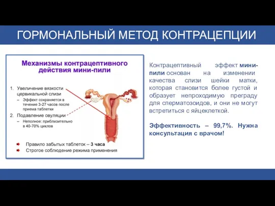 Контрацептивный эффект мини-пили основан на изменении качества слизи шейки матки,