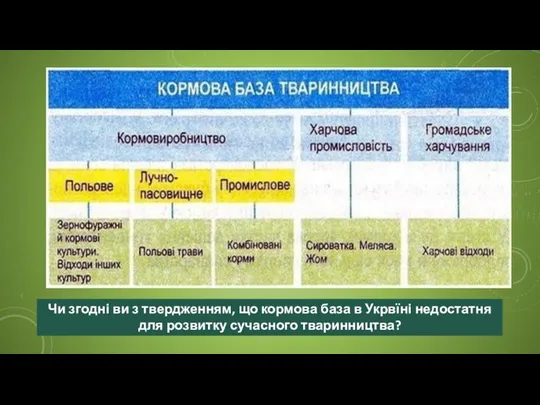 Чи згодні ви з твердженням, що кормова база в Укрвїні недостатня для розвитку сучасного тваринництва?