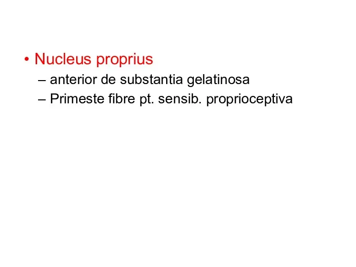 Nucleus proprius anterior de substantia gelatinosa Primeste fibre pt. sensib. proprioceptiva