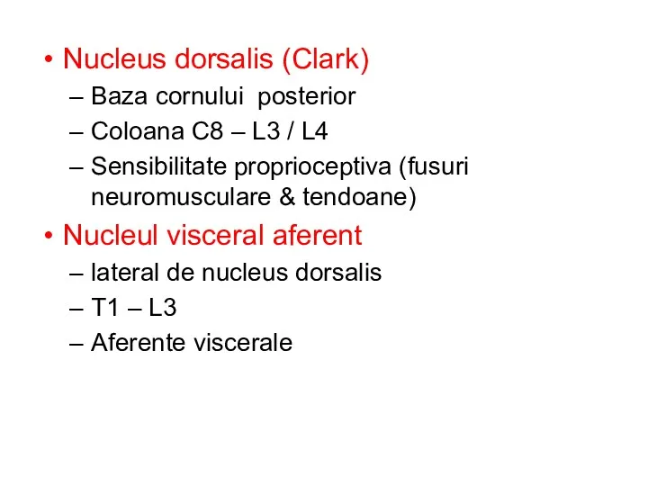 Nucleus dorsalis (Clark) Baza cornului posterior Coloana C8 – L3 / L4 Sensibilitate