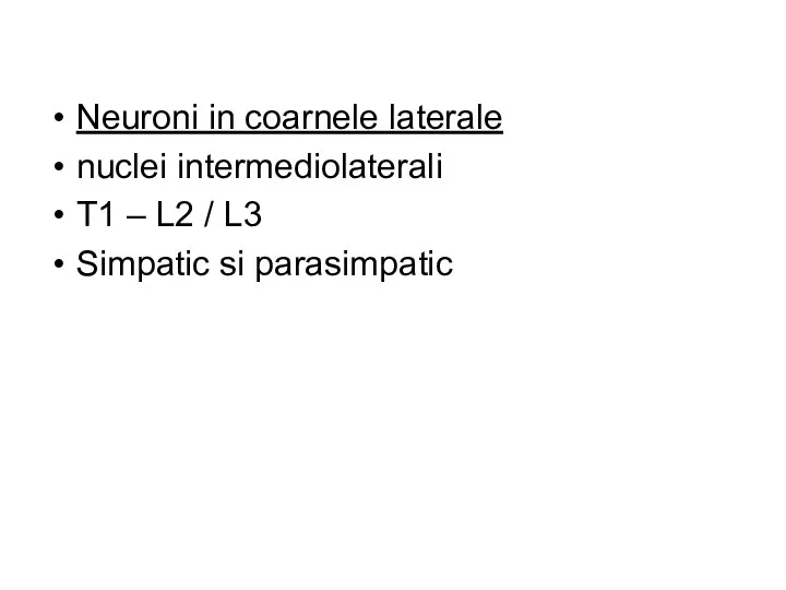 Neuroni in coarnele laterale nuclei intermediolaterali T1 – L2 / L3 Simpatic si parasimpatic