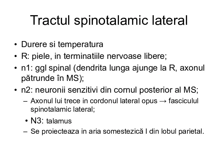 Tractul spinotalamic lateral Durere si temperatura R: piele, in terminatiile nervoase libere; n1: