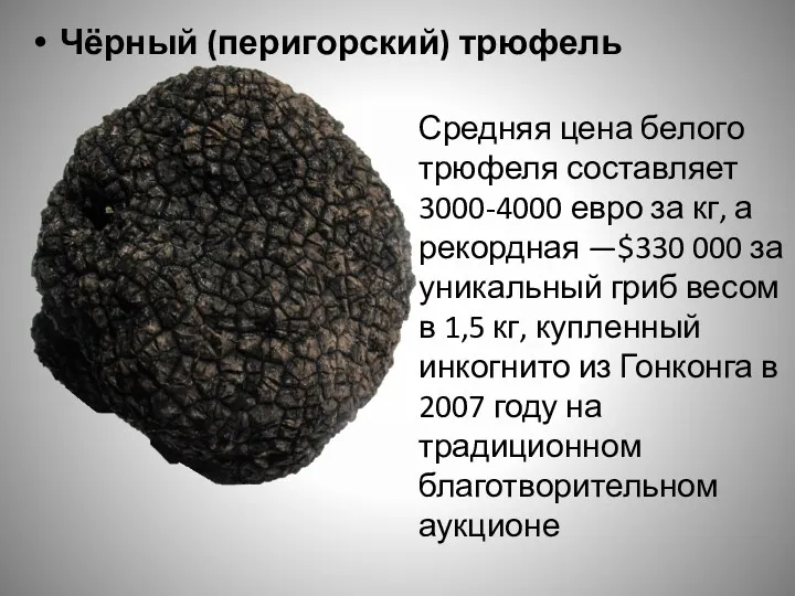 Чёрный (перигорский) трюфель Средняя цена белого трюфеля составляет 3000-4000 евро за кг, а