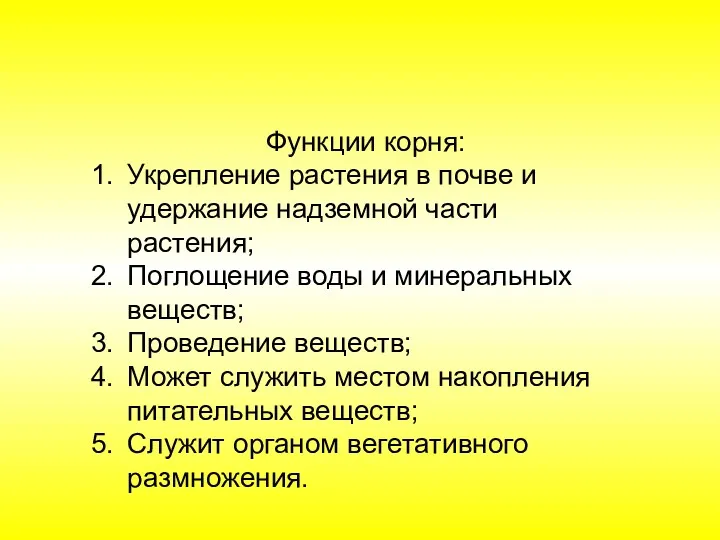 Функции корня: Укрепление растения в почве и удержание надземной части