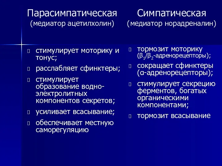 Симпатическая (медиатор норадреналин) тормозит моторику (β1/β2-адренорецепторы); сокращает сфинктеры (α-адренорецепторы); стимулирует