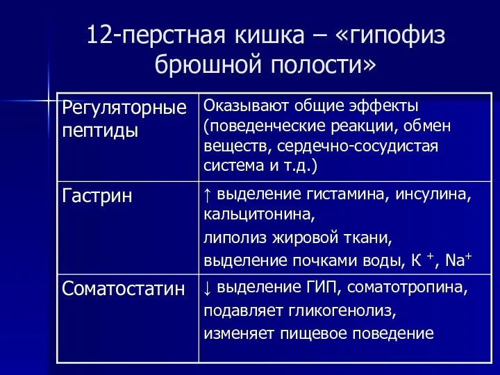 12-перстная кишка – «гипофиз брюшной полости»