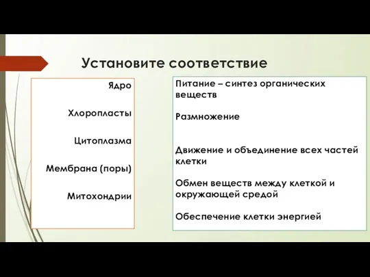 Установите соответствие Ядро Хлоропласты Цитоплазма Мембрана (поры) Митохондрии Питание –