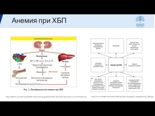 Анемия при ХБП https://health-ua.com/article/61206-indutcirovannyj-gipoksiej-faktor-dlya-lecheniya-anemii--pri-hronicheskoj-bo https://rsmu.ru/fileadmin/templates/DOC/Faculties/LF/outpatient_therapy/Anemija_2020.pdf