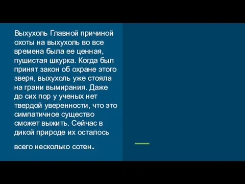 Выхухоль Главной причиной охоты на выхухоль во все времена была