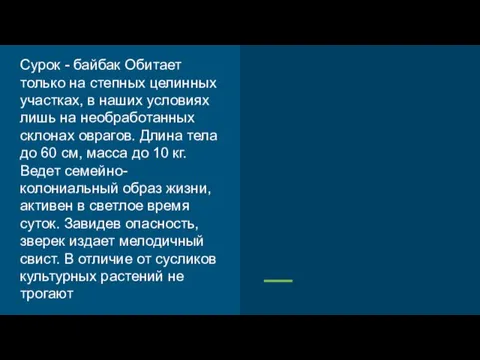 Сурок - байбак Обитает только на степных целинных участках, в