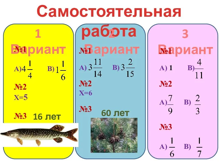 Самостоятельная работа 1 Вариант 2 Вариант №1 А) В) №2