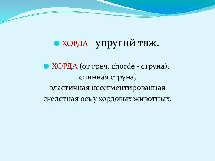 ХОРДА – упругий тяж. ХОРДА (от греч. chordе - струна),