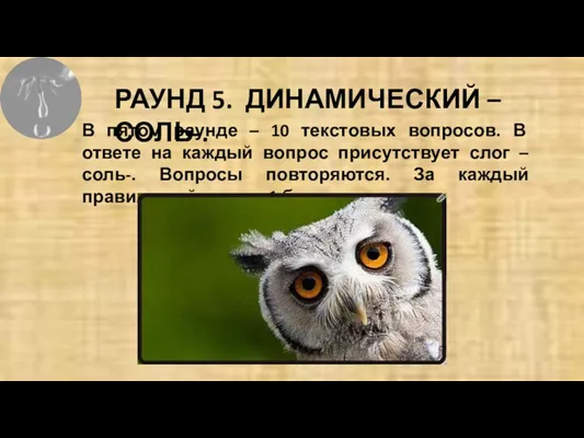 РАУНД 5. ДИНАМИЧЕСКИЙ –СОЛЬ-. В пятом раунде – 10 текстовых