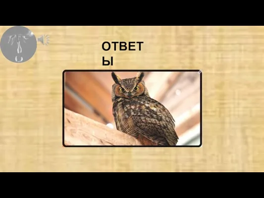 ОТВЕТЫ