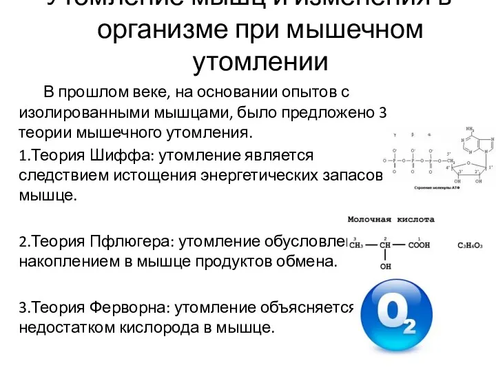 Утомление мышц и изменения в организме при мышечном утомлении В