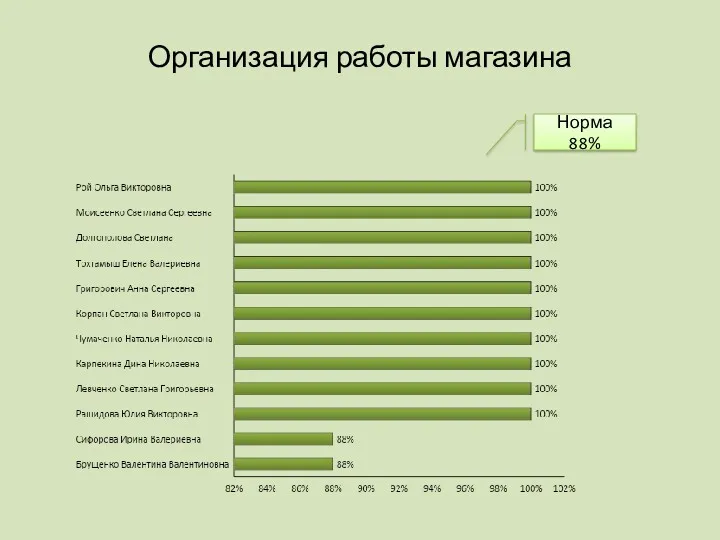 Организация работы магазина Норма 88%