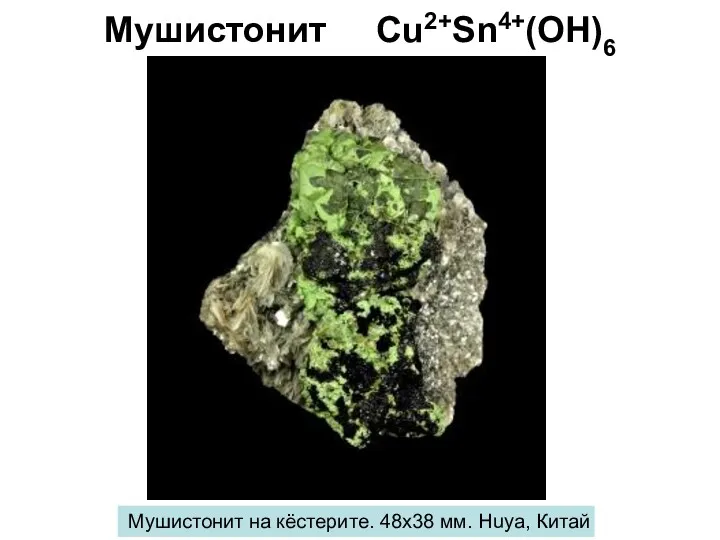 Мушистонит Cu2+Sn4+(OH)6 Мушистонит на кёстерите. 48х38 мм. Huya, Китай