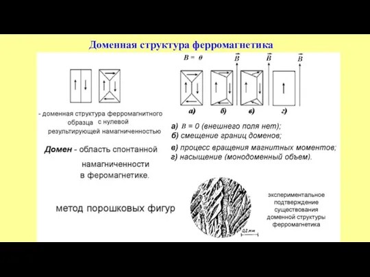 Доменная структура ферромагнетика