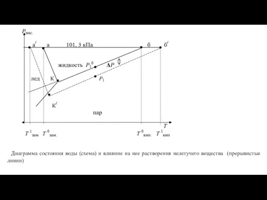 Диаграмма состояния воды (схема) и влияние на нее растворения нелетучего вещества (прерывистые линии)