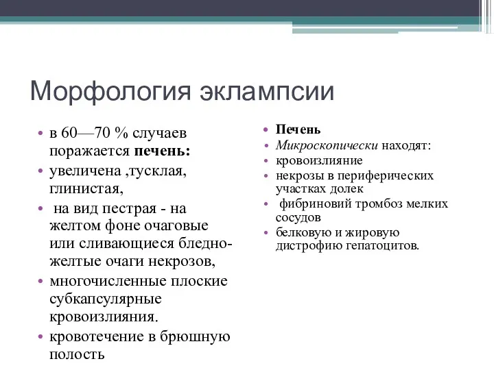 Морфология эклампсии в 60—70 % случаев поражается печень: увеличена ,тусклая,