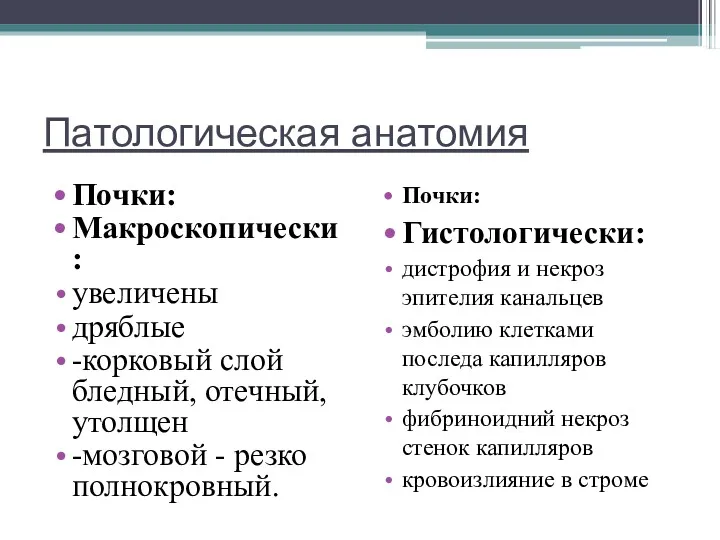 Патологическая анатомия Почки: Макроскопически: увеличены дряблые -корковый слой бледный, отечный,