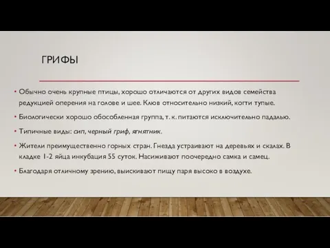 ГРИФЫ Обычно очень крупные птицы, хорошо отличаются от других видов