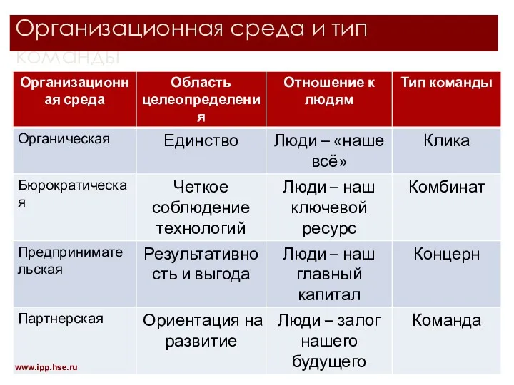 Организационная среда и тип команды www.ipp.hse.ru