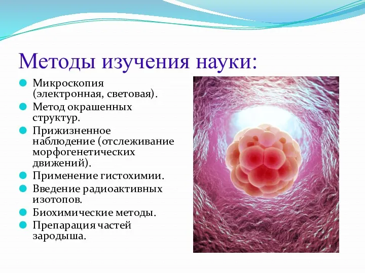 Методы изучения науки: Микроскопия (электронная, световая). Метод окрашенных структур. Прижизненное