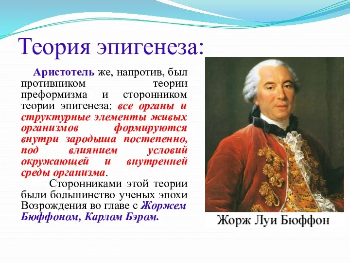 Теория эпигенеза: Аристотель же, напротив, был противником теории преформизма и