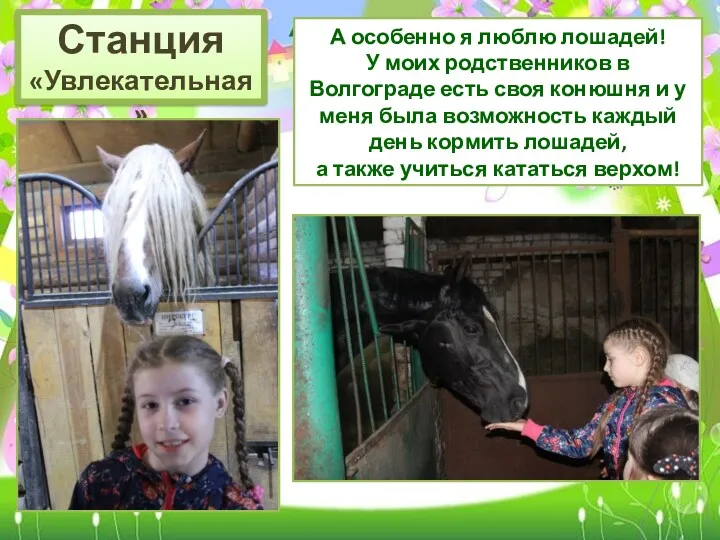 Станция «Увлекательная» А особенно я люблю лошадей! У моих родственников в Волгограде есть