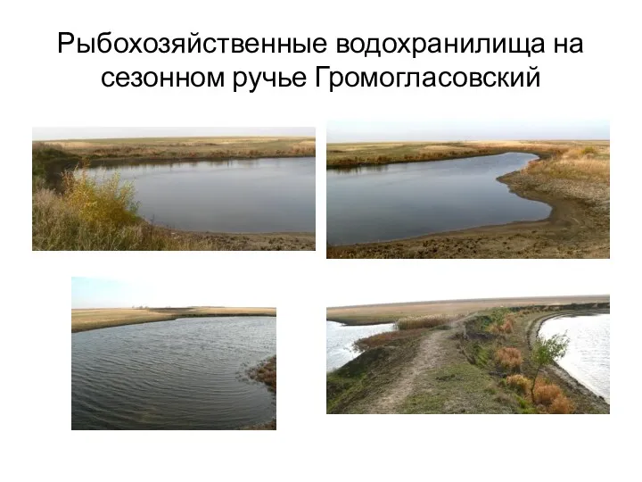 Рыбохозяйственные водохранилища на сезонном ручье Громогласовский