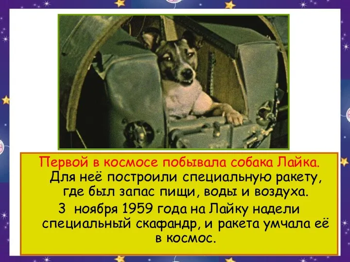 Первой в космосе побывала собака Лайка. Для неё построили специальную ракету, где был