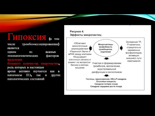 Гипоксия (в том числе тромбоз-ассоциированная) является одним из важных этиопатогенетических