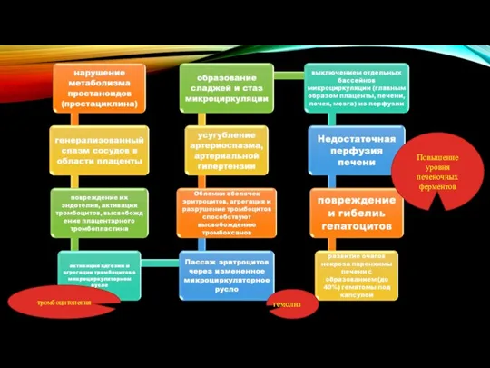 тромбоцитопения гемолиз Повышение уровня печеночных ферментов