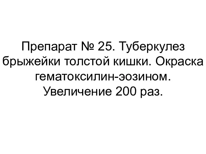 Препарат № 25. Туберкулез брыжейки толстой кишки. Окраска гематоксилин-эозином. Увеличение 200 раз.