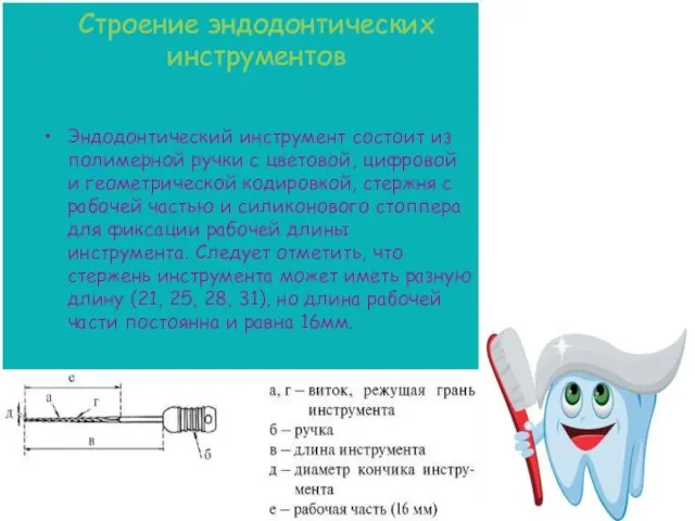 Строение эндодонтических инструментов Эндодонтический инструмент состоит из полимерной ручки с