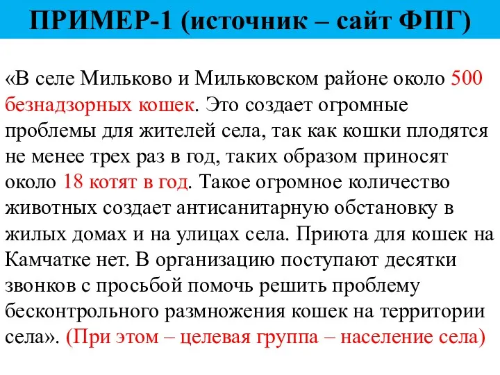 «В селе Мильково и Мильковском районе около 500 безнадзорных кошек.